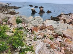 -养马岛旅游度假区