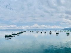 -抚仙湖禄充风景区