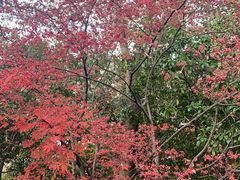 -长广溪湿地公园