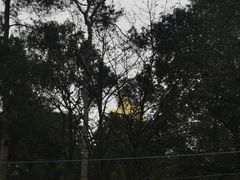 -南山植物园