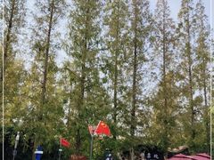 -黄海国家森林公园