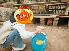 -第五季龙水凤港生态露营农场