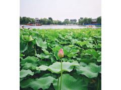 -小王府(什刹海店)