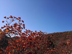-水峪民俗村