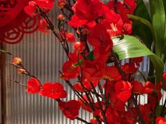 -鑫小城故事·藕汤·家常菜(台北一路总店)