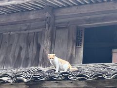 -紫阳古街