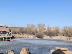 -鄂尔多斯野生动物园