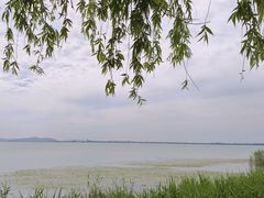 -苏州湾体育公园