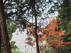 -八大关景区