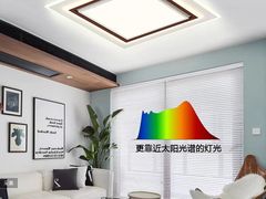 -张士灯具城(家居优选店)