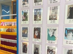 -康爱犬猫诊所·牙专科·骨外科·影像内科(丰宁店)