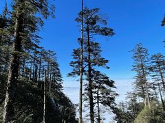 -瓦屋山景区