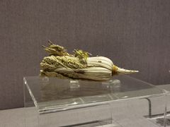 -四川博物院