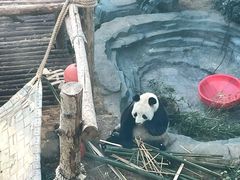 -大连森林动物园