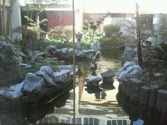 android_upload_pic-园林格兰云天大酒店-太极名厨中餐厅