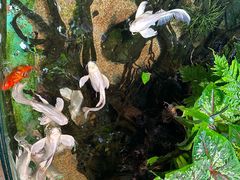 -太平洋海底世界