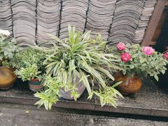 -老灶房-四川土菜(开元店)