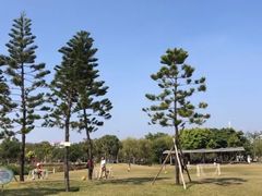 -海珠儿童公园