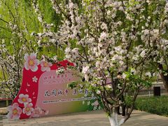 -元大都城垣遗址公园