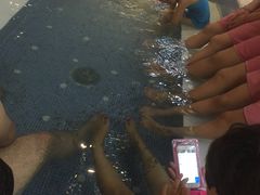 -水晶之星洗浴温泉汗蒸