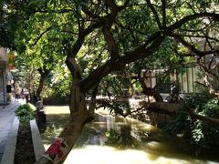 -小洲村