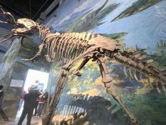 -自贡恐龙博物馆