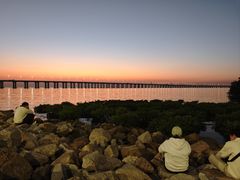 -宝安西湾红树林湿地公园