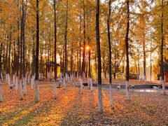 -艾溪湖湿地公园