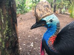 -费瑟代尔野生动物园