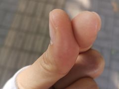 -海底捞火锅(万科广场店)