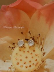 -北京七彩云南翡翠珠宝旗舰店(月坛店)