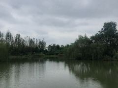 -白鹭湾湿地公园