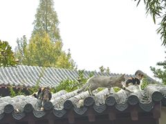 -郑和公园