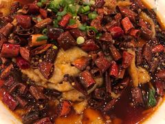 水煮肉-鑫巴蜀小镇 · 水煮鱼专研店(玉桥店)