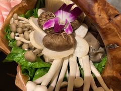 鲜杂菇拼盘-捞神煲汤火锅(湖滨商业街店)