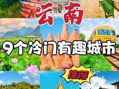 -普洱太阳河森林公园
