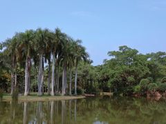 -中国科学院西双版纳热带植物园