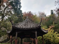 -兴福禅寺