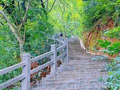 -广州市白云山风景名胜区