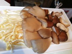 -红鼎坊·老成都火锅(新南门店)