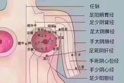 -可丽可心身材管理中心
