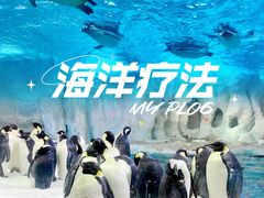 -珠海长隆海洋王国