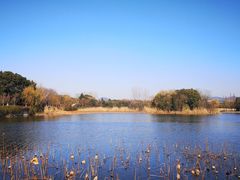 -上海市保健医疗中心