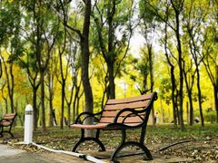 -大兴滨河森林公园