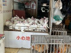 -汝萍传统蘸水菜(春华路总店)