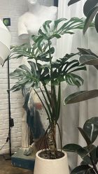 -飛凡TATTOO纹身•原创