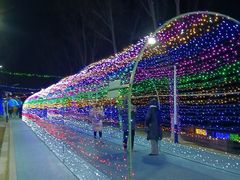 -青龙湖公园