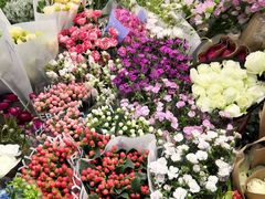 -双季花艺园艺市场(浦东店)