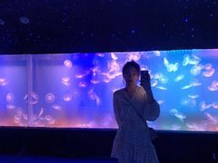 -左海海底世界