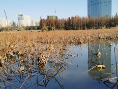 -艾溪湖湿地公园